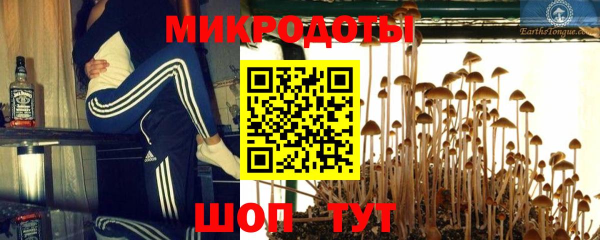 Псилоцибиновые грибы мухоморы  Вход с VPN  Галлюциногенные грибы прущие грибы  Кузнецк 
